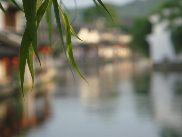 绍兴自助游图片 绍兴自助游图片