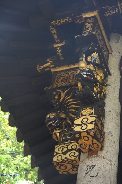 绍兴自助游图片