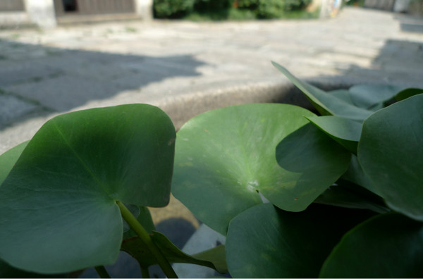 绍兴图片