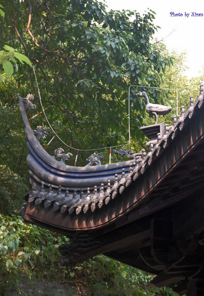 绍兴旅游攻略图片