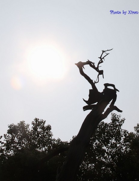 绍兴景点图片