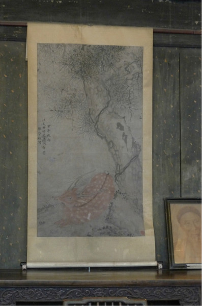 绍兴自助游图片