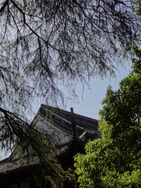 绍兴图片 绍兴图片