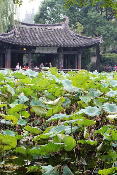 绍兴旅游攻略图片 绍兴旅游攻略图片