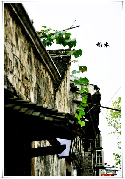 绍兴自助游图片